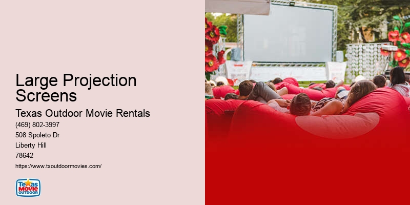 Outdoor Movie Night Rentals